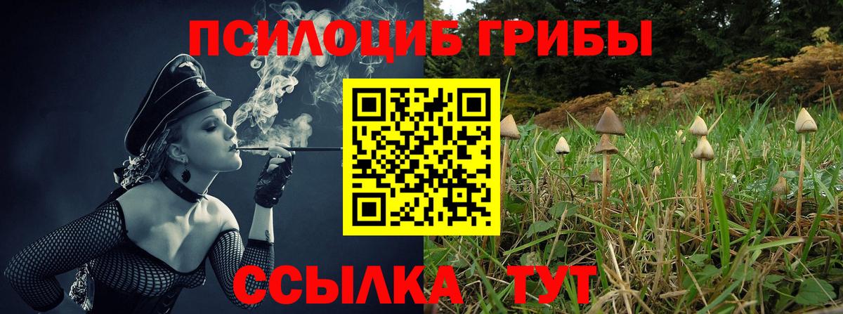 Псилоцибиновые грибы ЛСД Луга