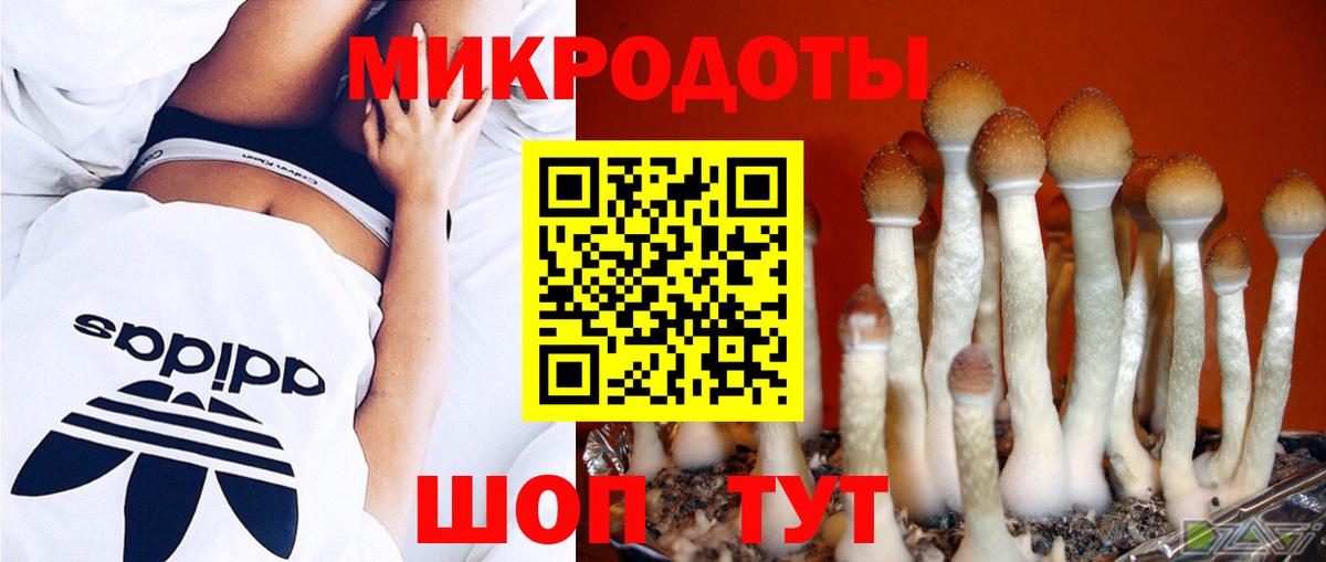 Луга  Псилоцибиновые грибы MAGIC MUSHROOMS  Псилоцибиновые грибы мицелий  Вход с VPN 